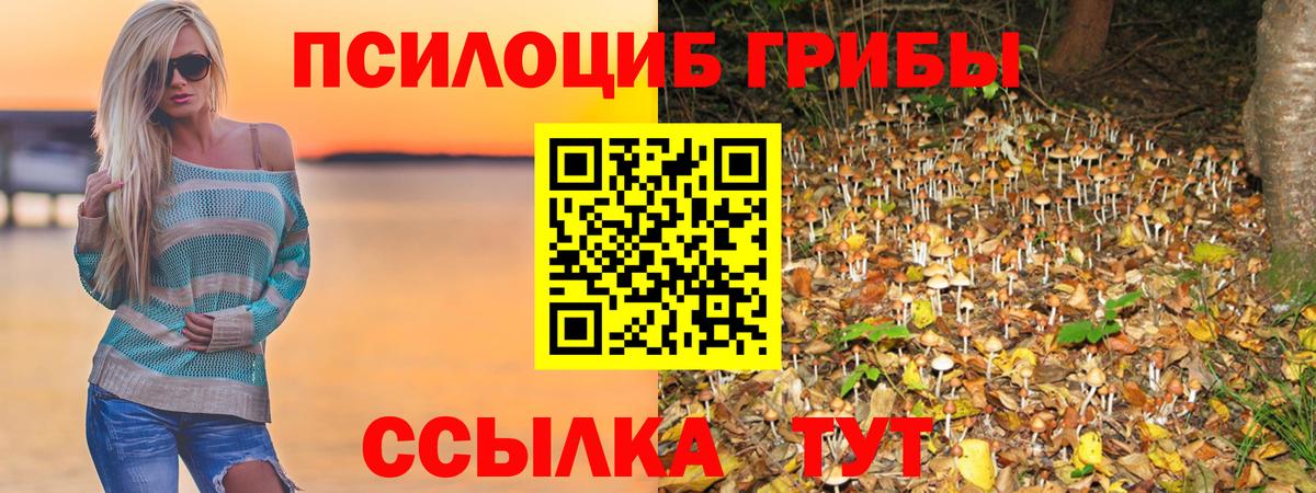 Псилоцибиновые грибы GOLDEN TEACHER  Псилоцибиновые грибы GOLDEN TEACHER  Калач-на-Дону  Вход с VPN 