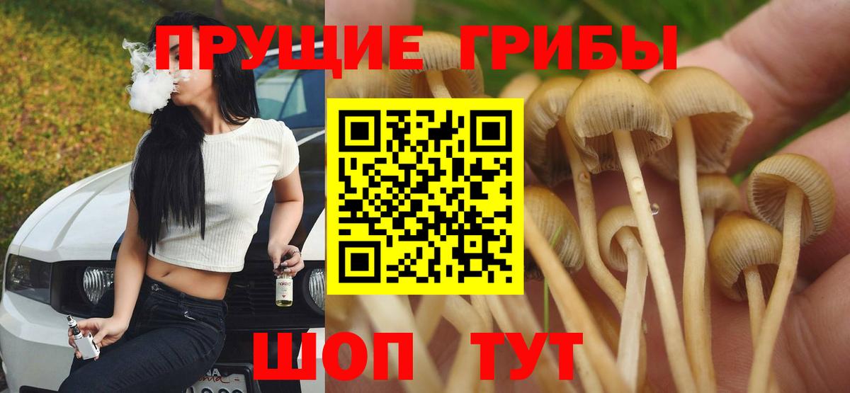 Галлюциногенные грибы GOLDEN TEACHER Калач-на-Дону